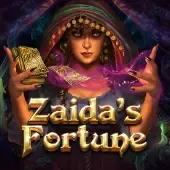Zaida's Fortune game cover